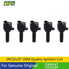 OE 12496547 12612369 Ignition coil for Hummer H3 #MFSG235